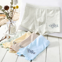 Teen Briefs Male development Pine Cape Mondale Grand Boy Junior High School students 15-year-old Summer thin Four-corner Shorts