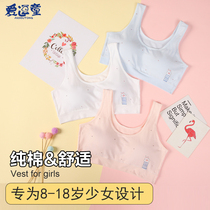 Teenage Girl Lingerie Hair Birth RC Cotton Girl Little Vest 10 Year Old Girl Elementary School Junior High School Kids 13 Bra