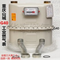 G40 membrane type gas meter 40 cubic industrial natural gas meter gas meter gas flow meter commercial