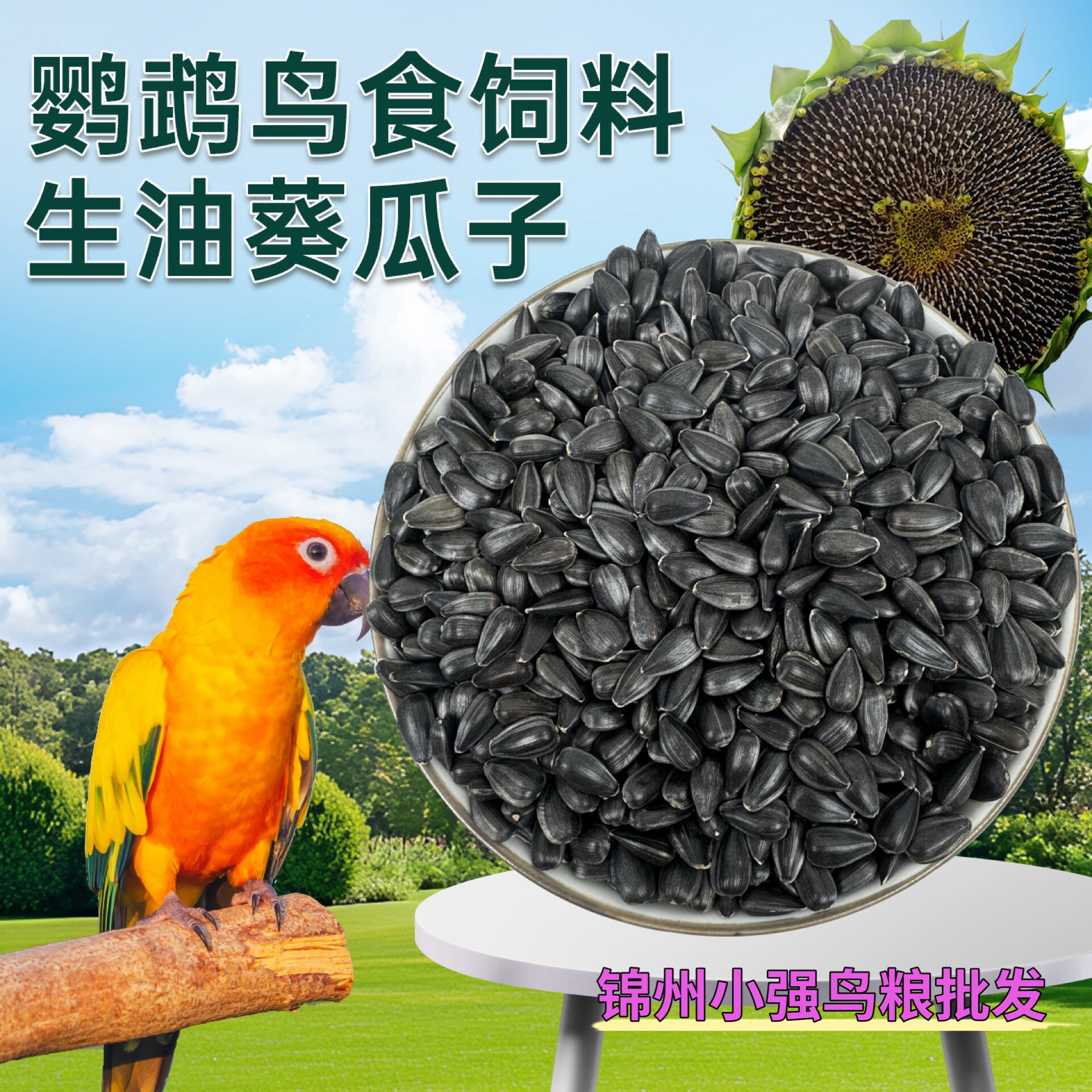 🐾寻找健康宠物口粮?试试这款天然鸟粮!🌿-鸟食-淘宝好物网