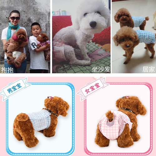 Физиологические штаны для собак, моча, без мокрой суки, мужская собака посвященные подгузники, домашние животные, маленькая менструальная тетя, тетя, защитная плюшевая девушка