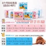 Физиологические штаны для собак, моча, без мокрой суки, мужская собака посвященные подгузники, домашние животные, маленькая менструальная тетя, тетя, защитная плюшевая девушка