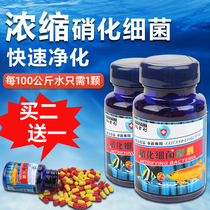 Aquarium nitrifying bacteria aquarium nitrifying bacteria dry powder aquarium water purification capsule for aquarium water purification