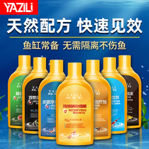 Aquarium aquarium water purification agent Nitrification bacteria live bacteria water clear water quality fish white spot disease sterilization water disinfection stabilizer