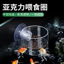 Fish tank floating feeding circle Jinbozi fry and harvest shrimp acrylic fish feeder suction cup feeding fish food to prevent scattering