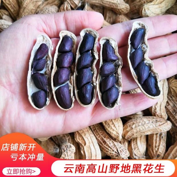 New black peanuts 5kg Yunnan selenium-rich black peanuts farmers self-produced sun-dried shelled purple peanuts half a catty of grains