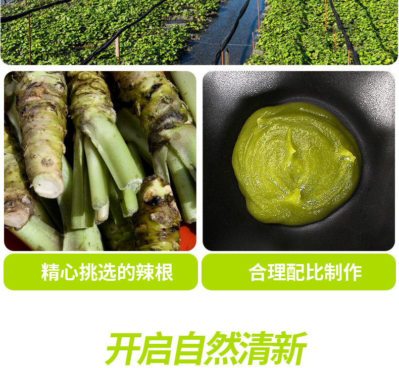 安享好物 安享D级芥末-加厨宝日式 StB青芥辣酱 国标 