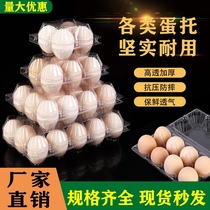 Plastic transparent PET new material high transparent egg tray medium size large multi-specification sample special shot