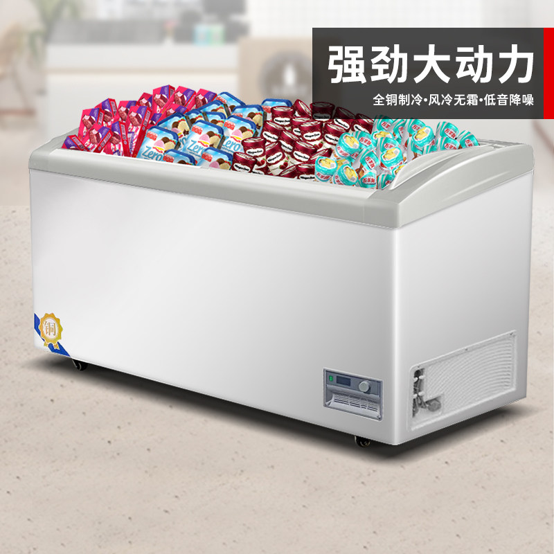 Shilaisheng Frozen Commercial Freezer Refrigerator Transparent Small Refrigerator Convenience Store Horizontal Twin-Warm Supermarket