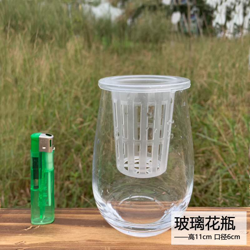 A hydroponic plant vase transparent glass container water raise creative Chinese style flower ceramic flower pot desktop vessels
