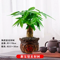 Джубаофа (один выстрел дерева удачи)