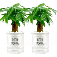 Доброе утро прозрачное бассейн