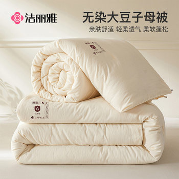 Jialiya Soybean Quilt Winter Quilt Two-In-One All-Season Student Dormitory Quilt Core Spring and Autumn Quilt Cotton Quilt