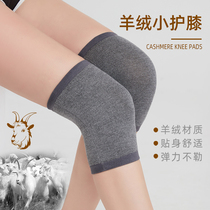 Manga small shop cashmere small kneecap anti-old chill leg cool to protect joint theorist warm sports non-slip short leg cover
