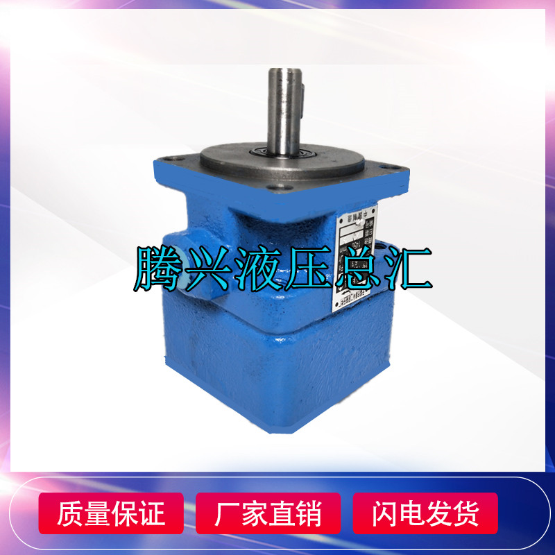 Vane pump YB1-10 2 5 4 6 12 16 20 25 32 40 50 63 80 100 125 Oil pump