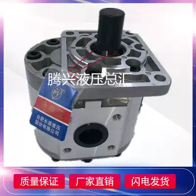 Hefei Changyuan gear pump CBN-F540 F50 F63 -BFP BFPL BFH BFHL hydraulic pump pump