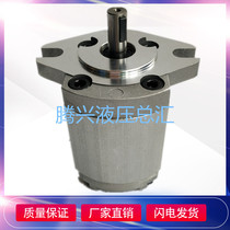 Taiwan hung HYDROMAX gear pump HGP-2A-F2R 3R 4R 6R 8R 9R 11R 12R