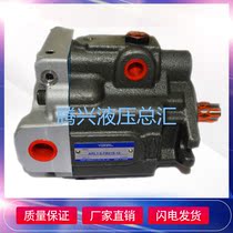 Taiwan YUKEN oil research plunger pump ARL1-6 8 12 16-fr01a S-10 oil pump original
