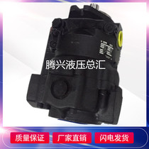 American Parker Parker Variable Piston Pump PAVC100R4222 PAVC10038R4222 Hydraulic Oil Pump