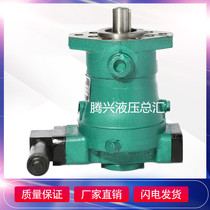 10 16 25 32 40 63 80 100 160 250 400PCY14-1B high pressure axial piston pumps