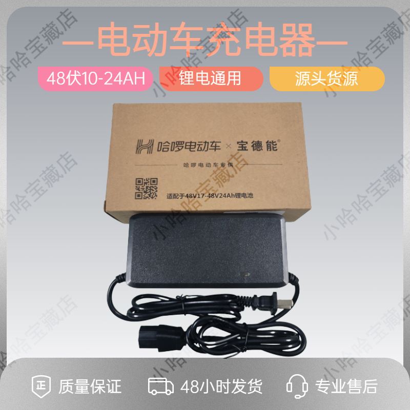 Hello Electric Vehicle Charger Baoduneng (Chi) Charger Original Adapter for 48V Lithium Electric Vehicle Models