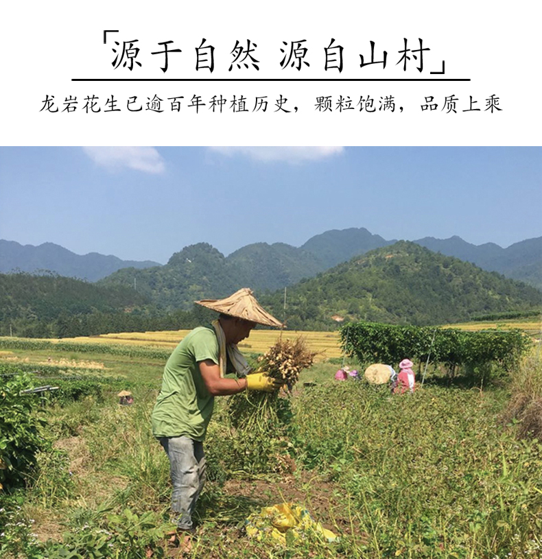 八闽风 龙岩花生 2斤 多口味可选 图6