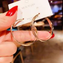 South Korea Dongdaemun Design Sensation Earrings Woman 2022 New wave qi and gas net red ear ring pure silver needle circle ear decoration