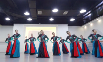 Mongolian costumes Performance costumes A few costumes Modern national style large skirt Elegant dance dress Hongyan suit female