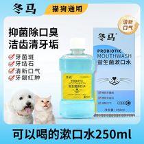 Winter horse Dma probiotic mouthwash for dogs to remove bad breath stones cat oral cleaning pet edible tooth cleaning water