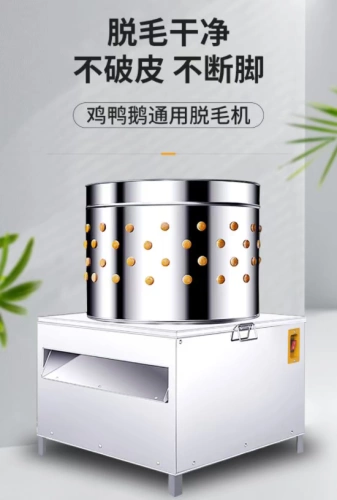 Птица убийства цыплят и разборки