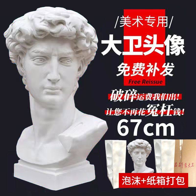 Gypsum statue David 67CM plaster head art sketch teaching aids studio decorative sculpture ornaments student painting mold