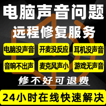 Remote Repair of Computer Sound Issues, No Sound from Speakers, Debugging of Laptop Headphones, Microphone, Desktop Computer Repair