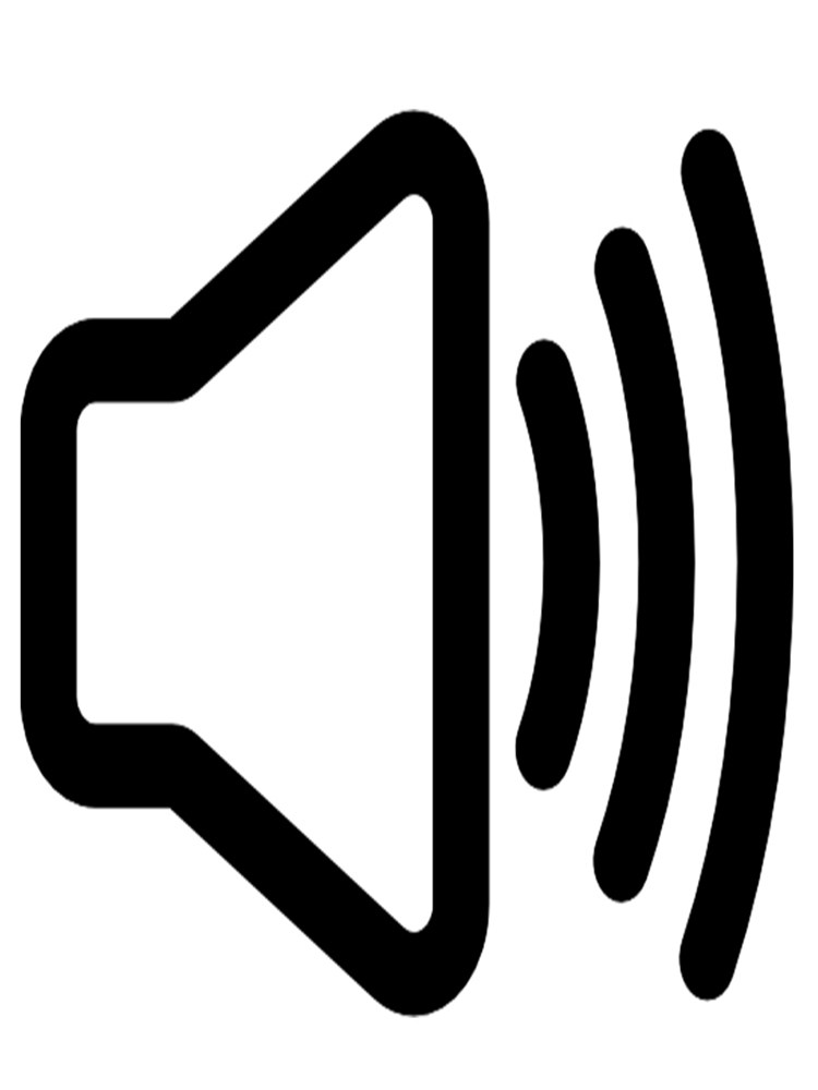 Remote Repair of Computer Sound Issues, No Sound from Speakers, Debugging of Laptop Headphones, Microphone, Desktop Computer Repair