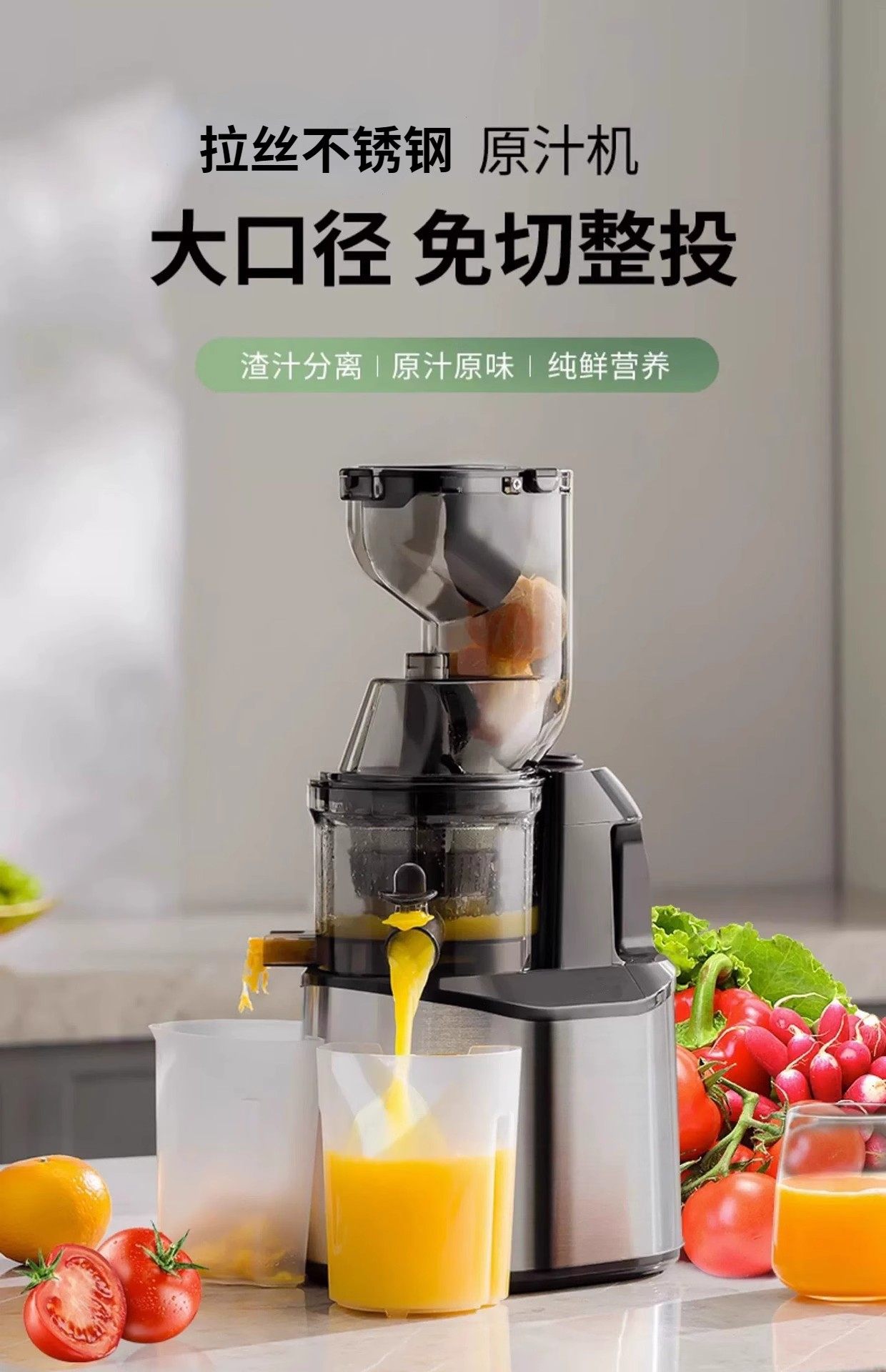 台湾110v美标香港220V英规果蔬榨汁机家用商用渣汁分离自动原汁机详情4