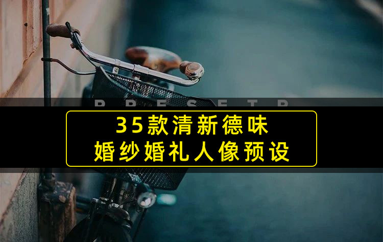 【S372】文艺色调清新德味婚纱婚礼人像lightroom预设