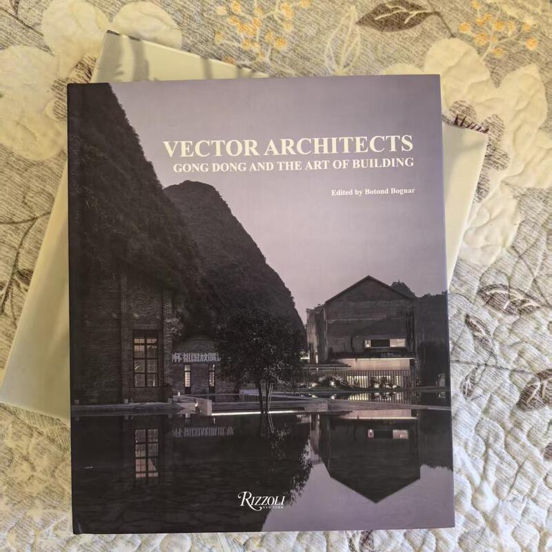 Vector Architects: Direct Architecture: Complete Collection of Works by Dong Gong and Architectural Art