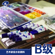 B series Rubens artist watercolor pigment 8ml tubular single a-grade watercolor pigment Single tubular transparent watercolor painting pigment Go out sketching Portable dispensing single watercolor pigment