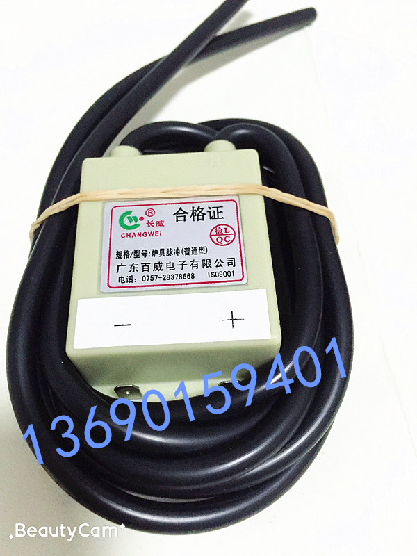 Guangdong Budweiser 5V12V24V 220v pulse igniter high temperature resistant waterproof energized ignition