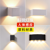 Wall Lamp Bedroom bed head Living room Balcony Toilet Wall Light Outdoor Doorway Patio Wall Adjustable Wash Wall Light