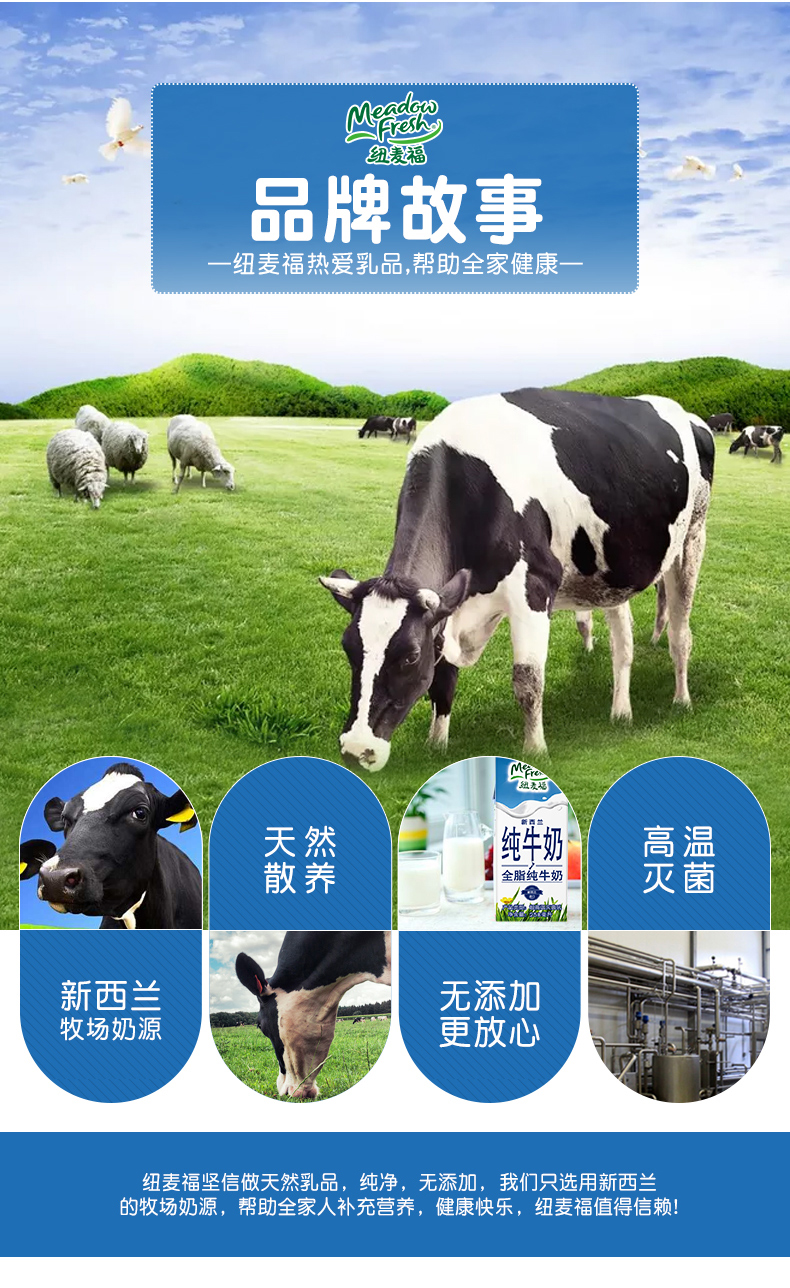 新西兰进口 纽麦福 泡泡牛高钙纯牛奶 250ml*24盒 4.0g超高蛋白质 图13