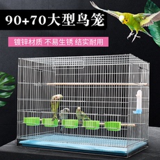 Клетка для птиц 虎皮鹦鹉鸟笼中大型电镀八哥牡丹玄凤大号加粗养殖金属繁殖鸟笼子