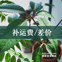  Xiahara Department Store special link to make up the difference in shipping costs