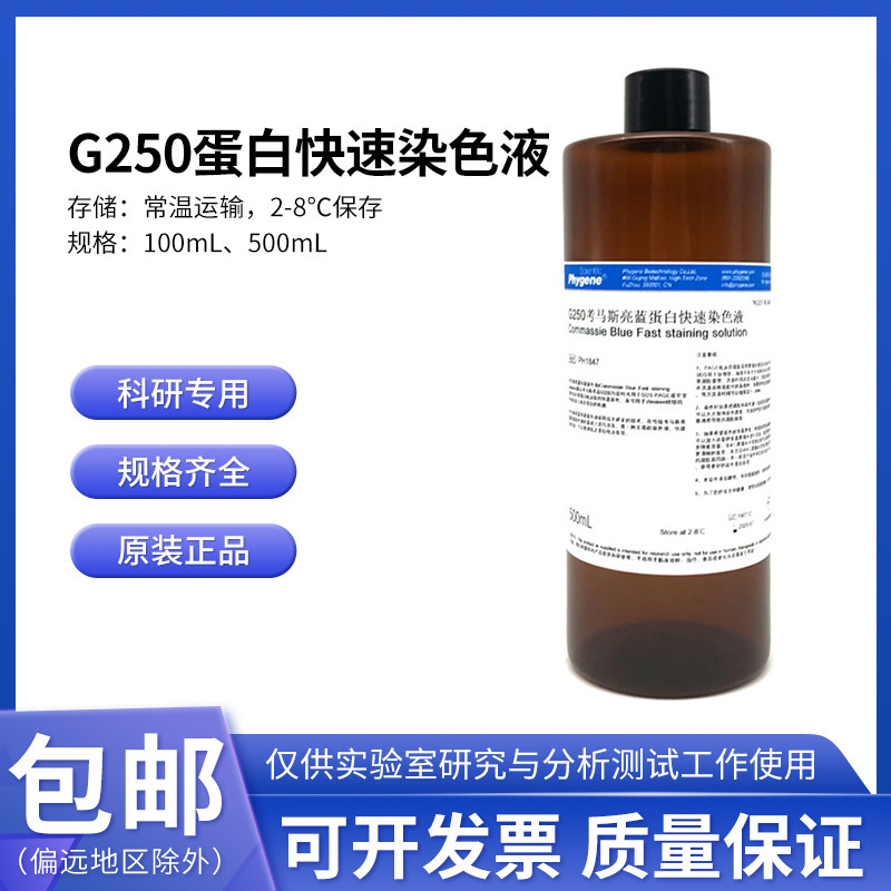 考马斯亮蓝快速染色液 G250染色液 100mL/500mL 电泳专用 PHYGENE