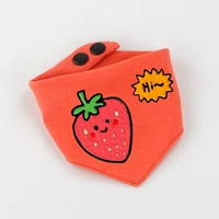 Коралловый шарф, клубника, домашний питомец