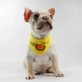 Петуц -треугольник водяное полотенце мило с хлопковыми плюшевые мишки, маленькие, маленькие собаки, собачья кошка маленький шарф