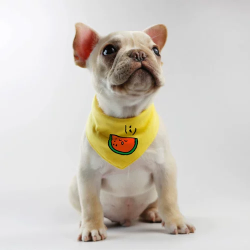 Петуц -треугольник водяное полотенце мило с хлопковыми плюшевые мишки, маленькие, маленькие собаки, собачья кошка маленький шарф