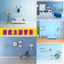 New live broadcast anchor background cloth net red fast hand Douyin photo photography shooting live room decorative cloth background wall