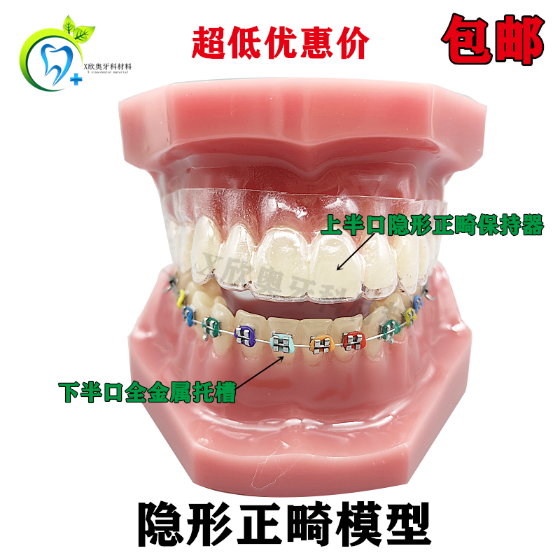 牙科口腔教学模型4种托槽对比模型 正畸陶瓷金属字所托槽示范牙模
