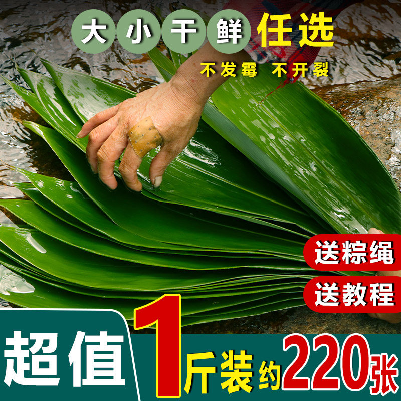 Zongzi zongzi leaves dried fresh large bag zongzi leaves dried large zongzi leaves extra large natural bamboo leaves wholesale free shipping