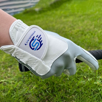 SpiralGalaxy Golf Gloves New Fashionable Anti-Slip High-Elastic Wear-Resistant Gloves for Teenagers Men and Women